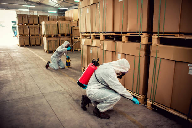 Best Best Pest Control Companies  in St Joseph, MN
