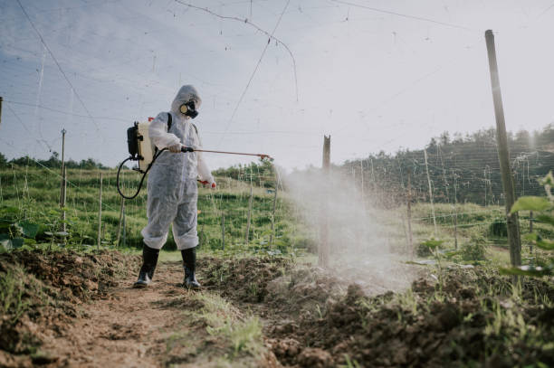Best Pest Prevention Services  in St Joseph, MN