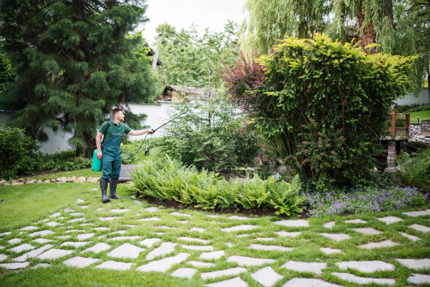 Best Exterminator Services  in St Joseph, MN