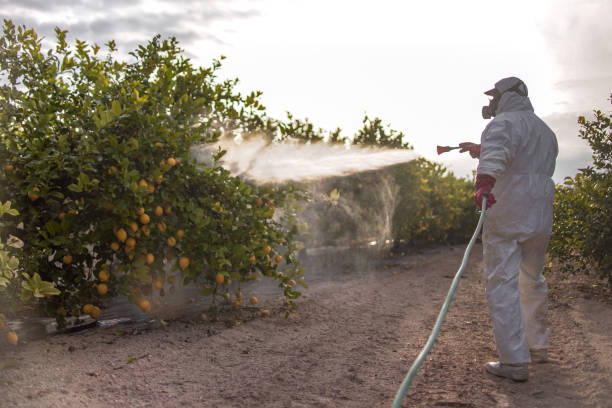 Best Pest Removal Services  in St Joseph, MN