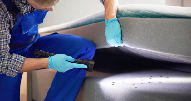 Best Bed Bug Extermination  in St Joseph, MN