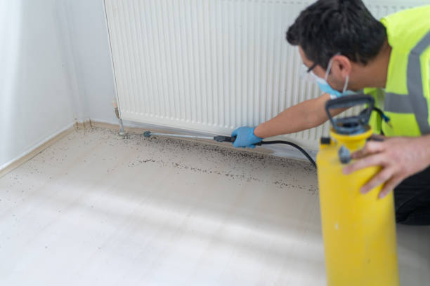 Best Commercial Pest Control Services  in St Joseph, MN