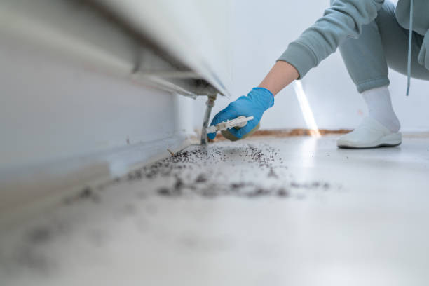 Best Mosquito Control Services  in St Joseph, MN