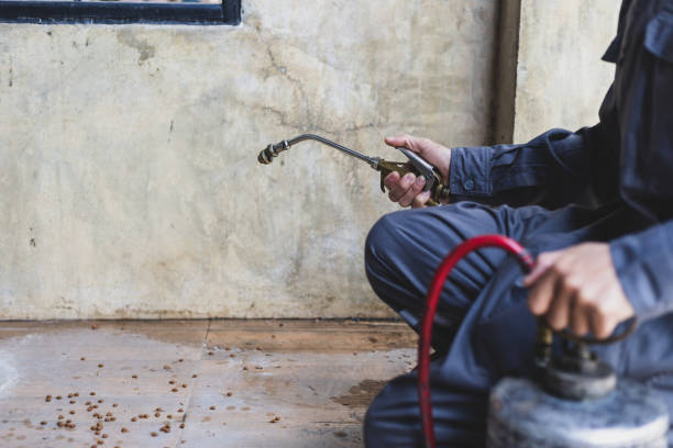 Professional Pest Control in St Joseph, MN