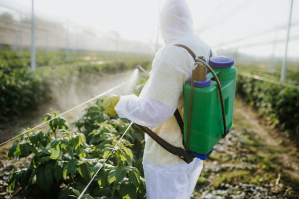 Best Best Pest Control Companies  in St Joseph, MN